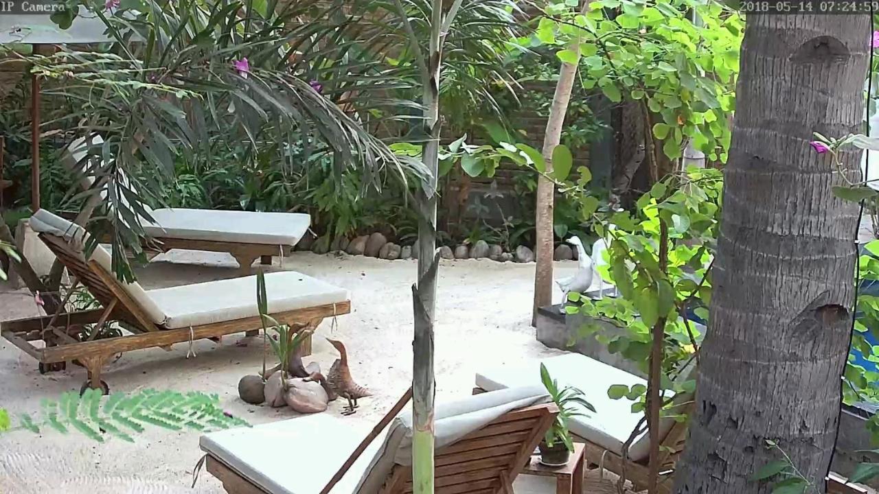 Villas Light House - Eco-Traditional Joglo Quần đảo Gili Ngoại thất bức ảnh