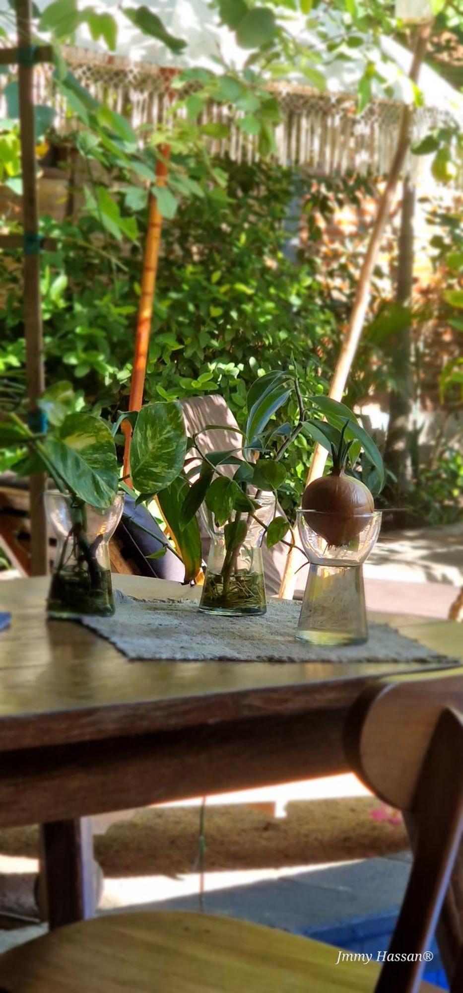 Villas Light House - Eco-Traditional Joglo Quần đảo Gili Ngoại thất bức ảnh