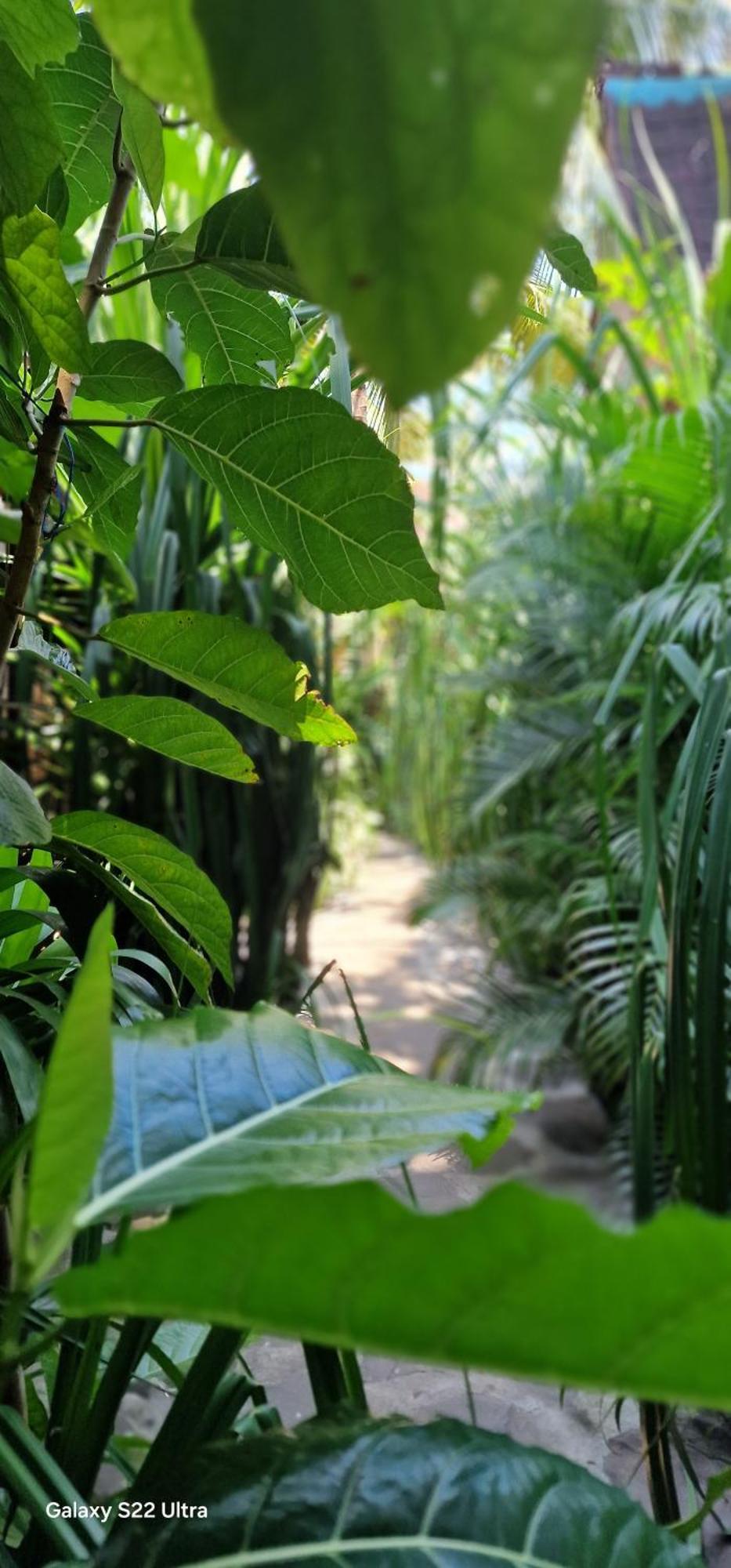 Villas Light House - Eco-Traditional Joglo Quần đảo Gili Ngoại thất bức ảnh