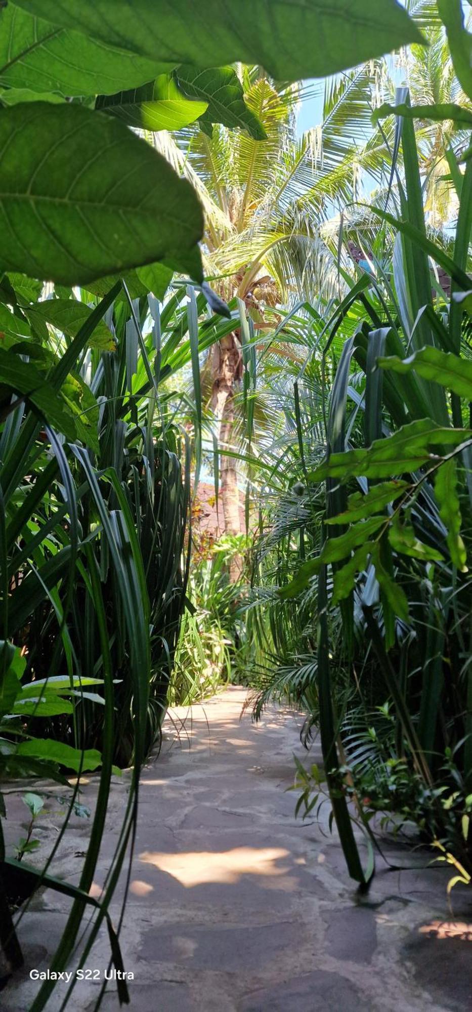 Villas Light House - Eco-Traditional Joglo Quần đảo Gili Ngoại thất bức ảnh